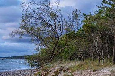 Faker参与电竞体育运动员健康研究项目，faker在电竞圈什么地位