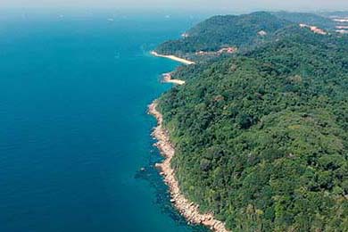 Faker参与电竞体育运动员健康研究项目，faker在电竞圈什么地位