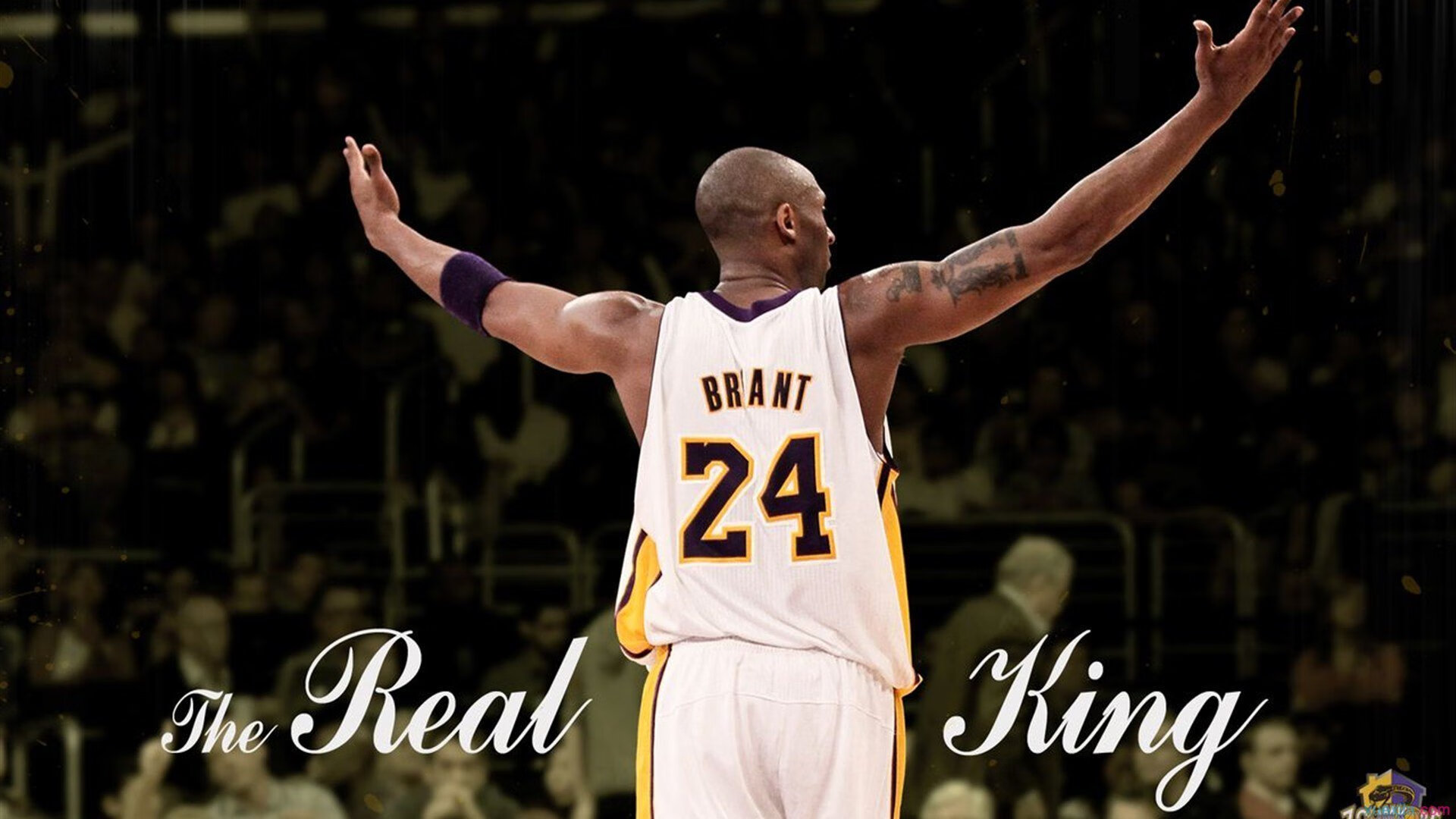 中国篮球运动员职业发展规划，篮球运动员发展前景